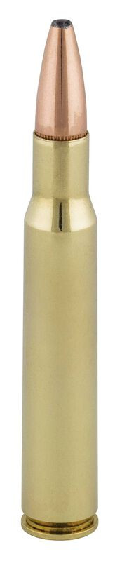 Federal .30-06 Springfield 180gr Soft Point ammunition