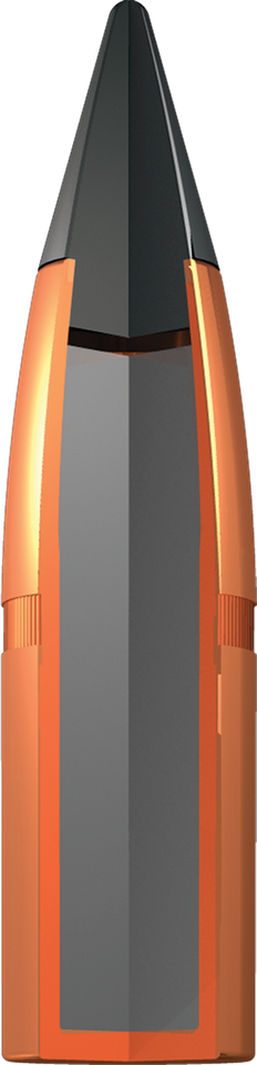 Winchester .25-06 Remington 117gr Polymer Tipped ammunition