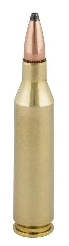 Federal .243 Winchester 100gr Soft Point ammunition