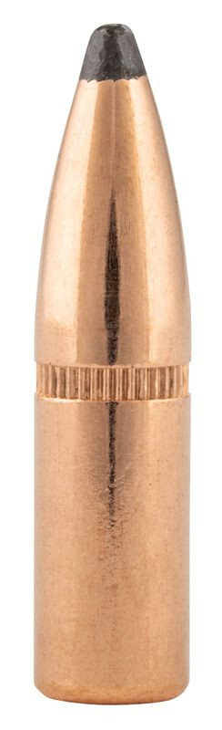 Federal .243 Winchester 100gr Soft Point ammunition