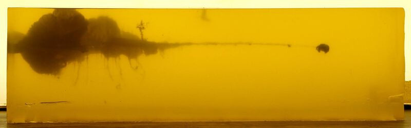 Federal Fusion .450 Bushmaster 260 Grain Soft Point