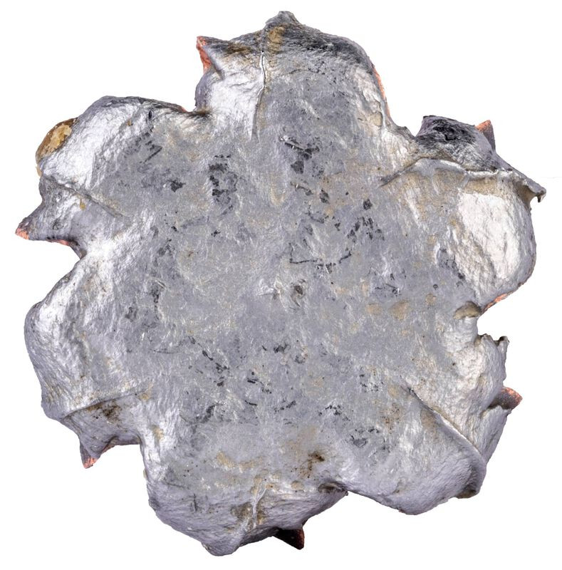 Federal Fusion .450 Bushmaster 260 Grain Soft Point