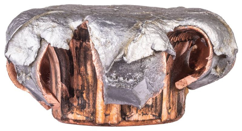 Federal Fusion .450 Bushmaster 260 Grain Soft Point