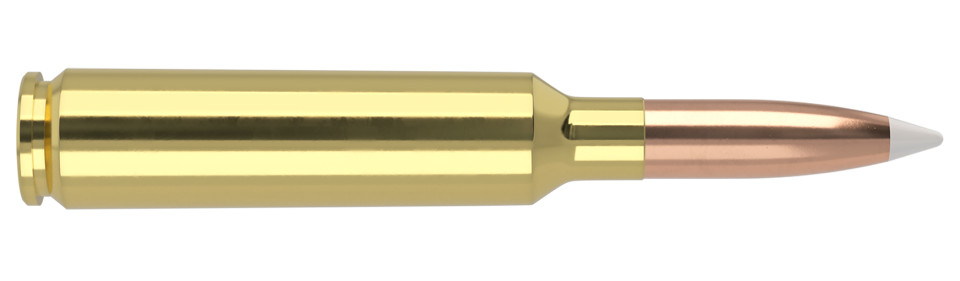 NOSLER 6.5-284 Norma 140gr Polymer Tipped ammunition