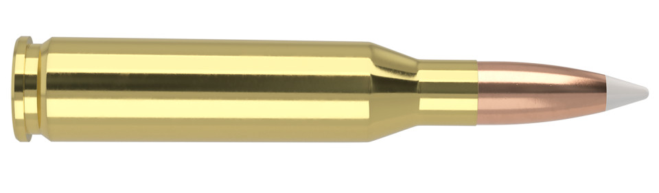 NOSLER .260 Remington 130gr Polymer Tipped ammunition