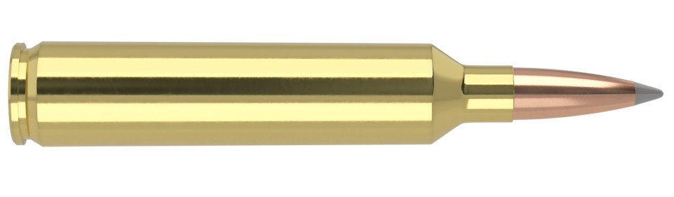 NOSLER .26 Nosler 142gr Polymer Tipped ammunition