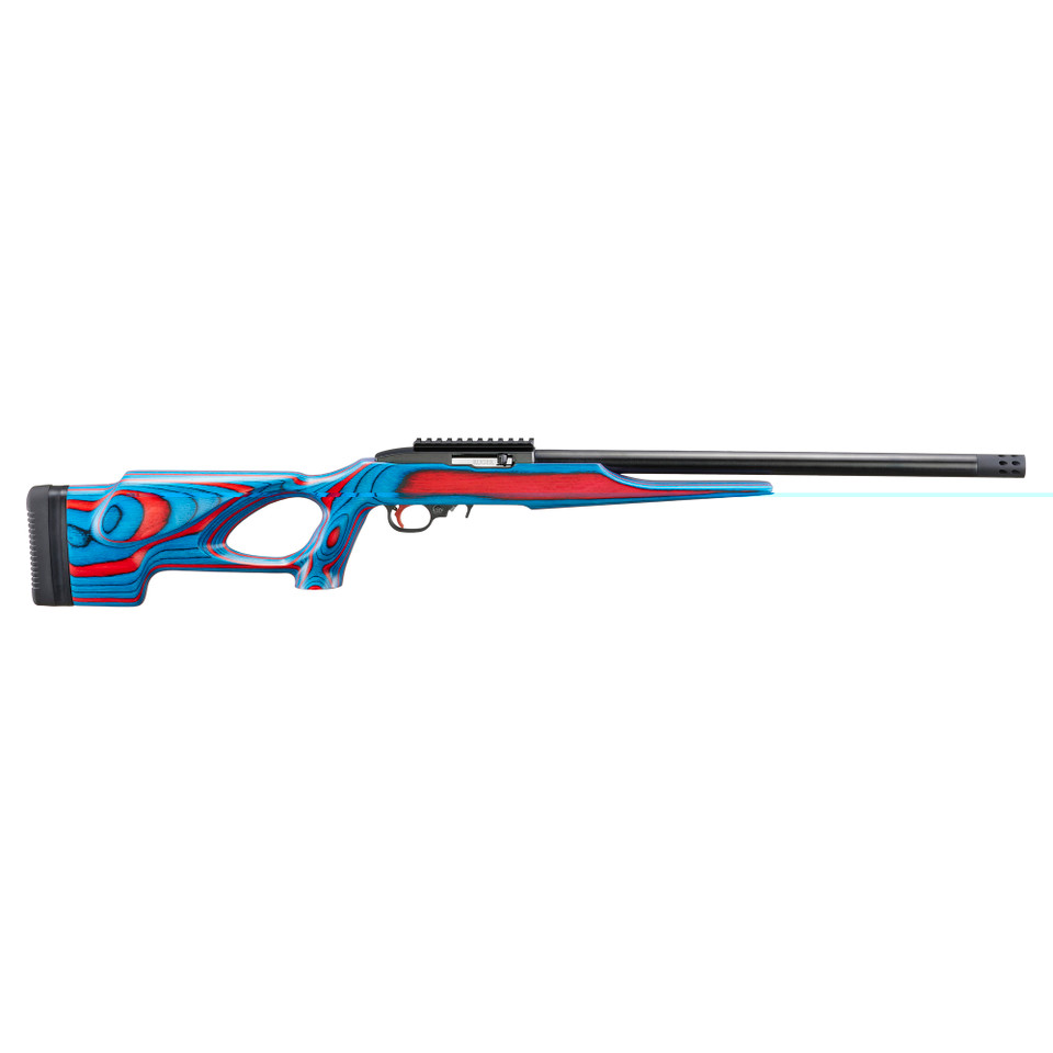 Ruger Ruger 10/22 .22 LR firearm