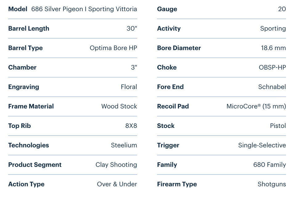 Beretta 20 Gauge firearm