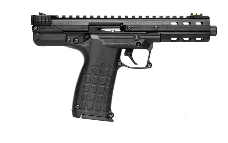 KelTec KelTec CP33 .22 LR firearm