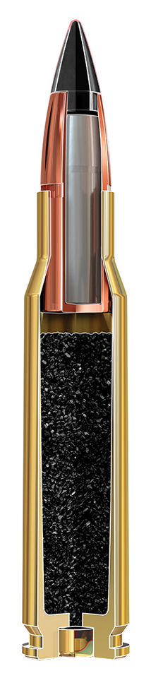 Winchester .243 Winchester 65gr Polymer Tipped ammunition