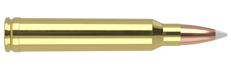 NOSLER .300 Winchester Magnum 180gr Polymer Tipped ammunition