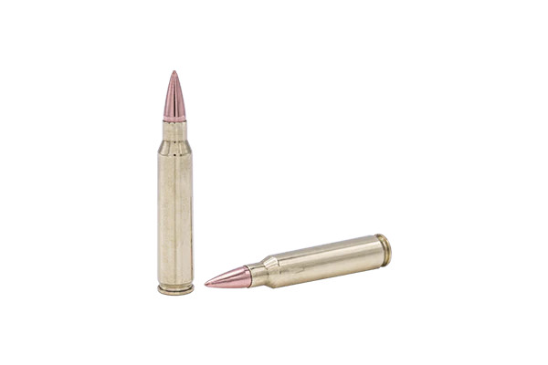 Fort Scott Munitions 5.56 NATO 62gr Solid ammunition