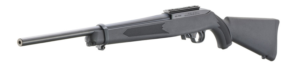Ruger Ruger 10/22 .22 LR firearm