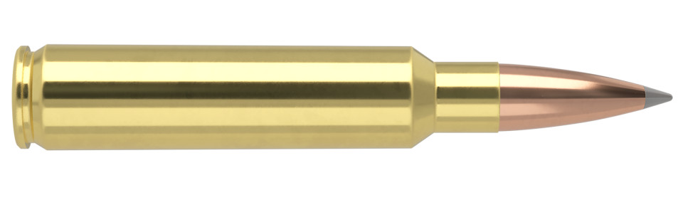 NOSLER .33 Nosler 265gr Polymer Tipped ammunition