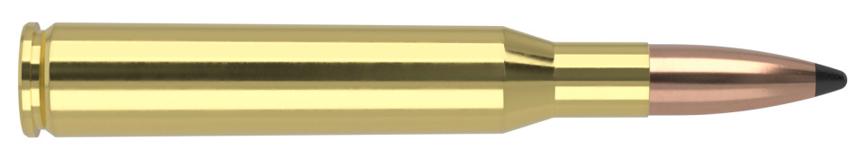 NOSLER .270 Winchester 130gr Soft Point ammunition