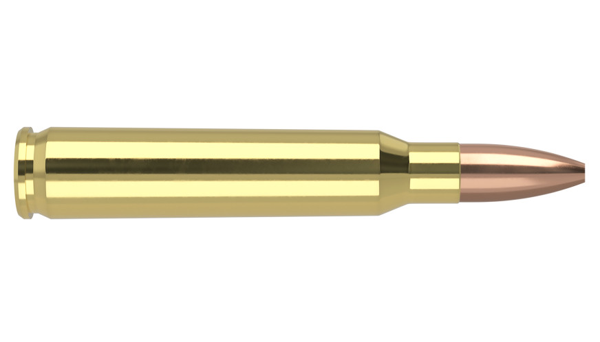 NOSLER .223 Remington 62gr Hollow Point (HP) ammunition