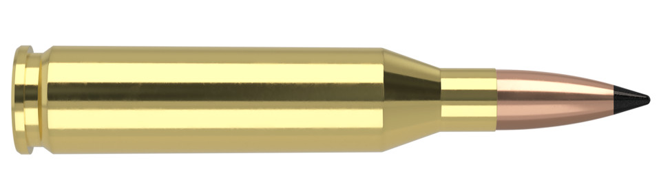NOSLER .243 Winchester 70gr Polymer Tipped ammunition