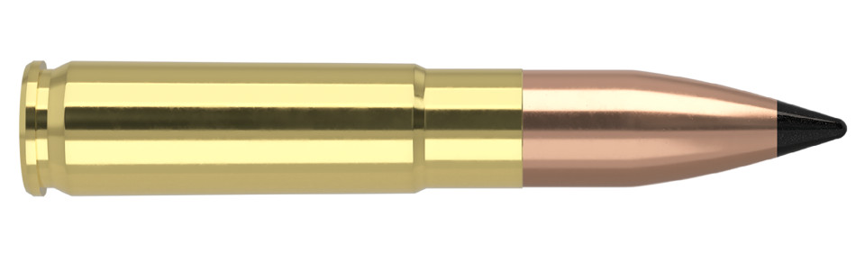 NOSLER .300 AAC Blackout 110gr Polymer Tipped ammunition