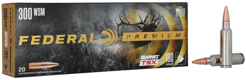 Federal .300 Winchester Short Magnum 180gr Hollow Point (HP) ammunition