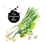 Our Thai Lemongrass-Mint White Balsamic Condimento is tart, crisp, clean and absolutely delicious. The natural flavors of Thai lemongrass and mint weave together beautifully and make a dazzling base for marinades, dressings, with sparkling water and in cocktails.