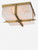 Regina Andrew Gotham Flush Mount Light