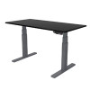 Electric Standing Desks:3-Stage Premium Option  - CALL FOR PRICING
