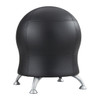 Zenergy? Ball Chair