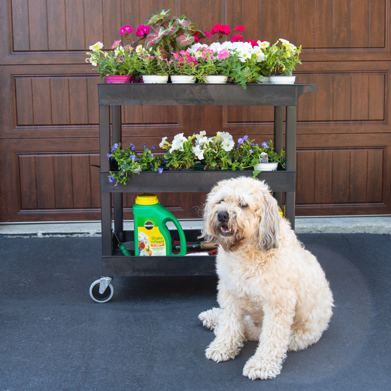 Luxor EC111 Three Shelf Utility Cart - Outdoor