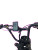 The Alway 20" - Slightly used Purple/Gold