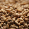 Weyermann Munich Type 1 Malt, Munich Type 1 Brewing Malt