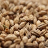 Weyermann Cologne Type Malt, Cologne Malt, Kolsch Malt
