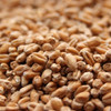 Weyermann Pale Wheat Malt, Malted Wheat