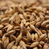 Weyermann CaraHell Malt, Carahell Malt, Weyermann Brewing Malt