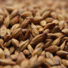 Weyermann CaraMunich Type 1 Malt, CaraMunich Type 1 Malt, Weyermann Brewing Malt