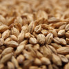 Weyermann CaraFoam Malt, Carafoam Malt, Weyermann Brewing Malt