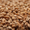 Weyermann Oak Smoked Wheat, Oak Smoked Wheat, Weyermann Brewing Malt
