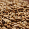 Weyermann Melanoidin Malt, Melanoidin Malt, Weyermann Brewing Malt