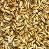 Simpsons Golden Naked Oats - 10 Lbs, Yeast, Brewing Malt