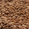 Briess Red Wheat Malt - 50 Lb