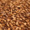 Briess Extra Special Roast Malt - 1 Oz