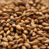 Weyermann CaraBelge Malt, CaraBelge Malt, Weyermann Brewing Malt