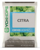 Citra CRYO HOPS¨ LupuLN2¨ Pellets - 1 OZ