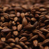 Thomas Fawcett Pale Chocolate Malt, Chocolate Malt, Pale Chocolate Malt
