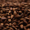 Thomas Fawcett Pale Chocolate Malt, Chocolate Malt, Pale Chocolate Malt