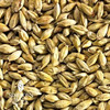 Simpson Aromatic Malt, Aromatic Malt, Simpsons Malt
