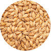 BestMalz Red X Malt, BestMalz Barley Malt, Malted Barley