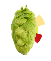 Monroe is here and our first experience is fantastic!