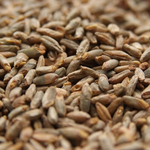 Weyermann Pale Rye Malt