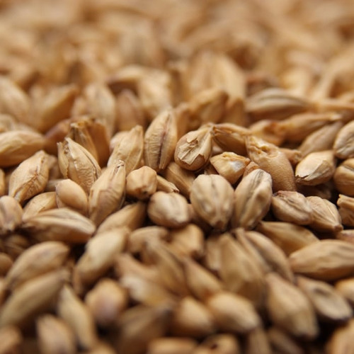 Weyermann CaraFoam Malt, Carafoam Malt, Weyermann Brewing Malt