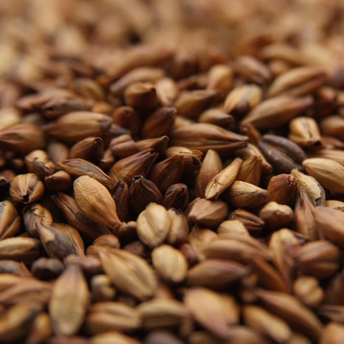Weyermann CaraMunich Type 2 Malt, CaraMunich Type 2 Malt, Weyermann Brewing Malt